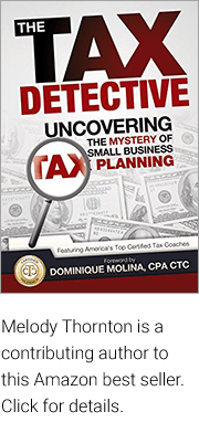 The Tax Detective book cover